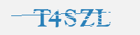 보안문자